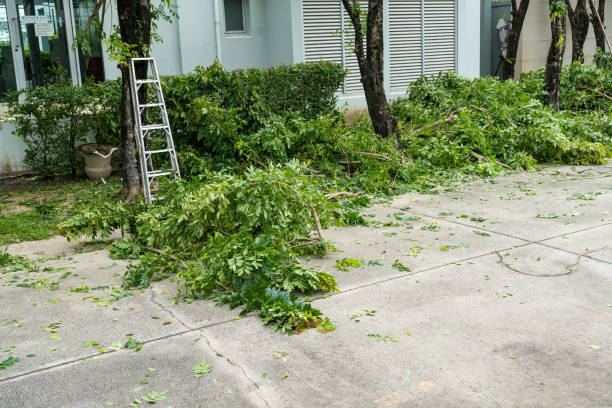 Burns Harbor, IN Tree Removal Company