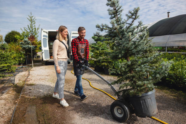 Best Weed Control  in Burns Harbor, IN